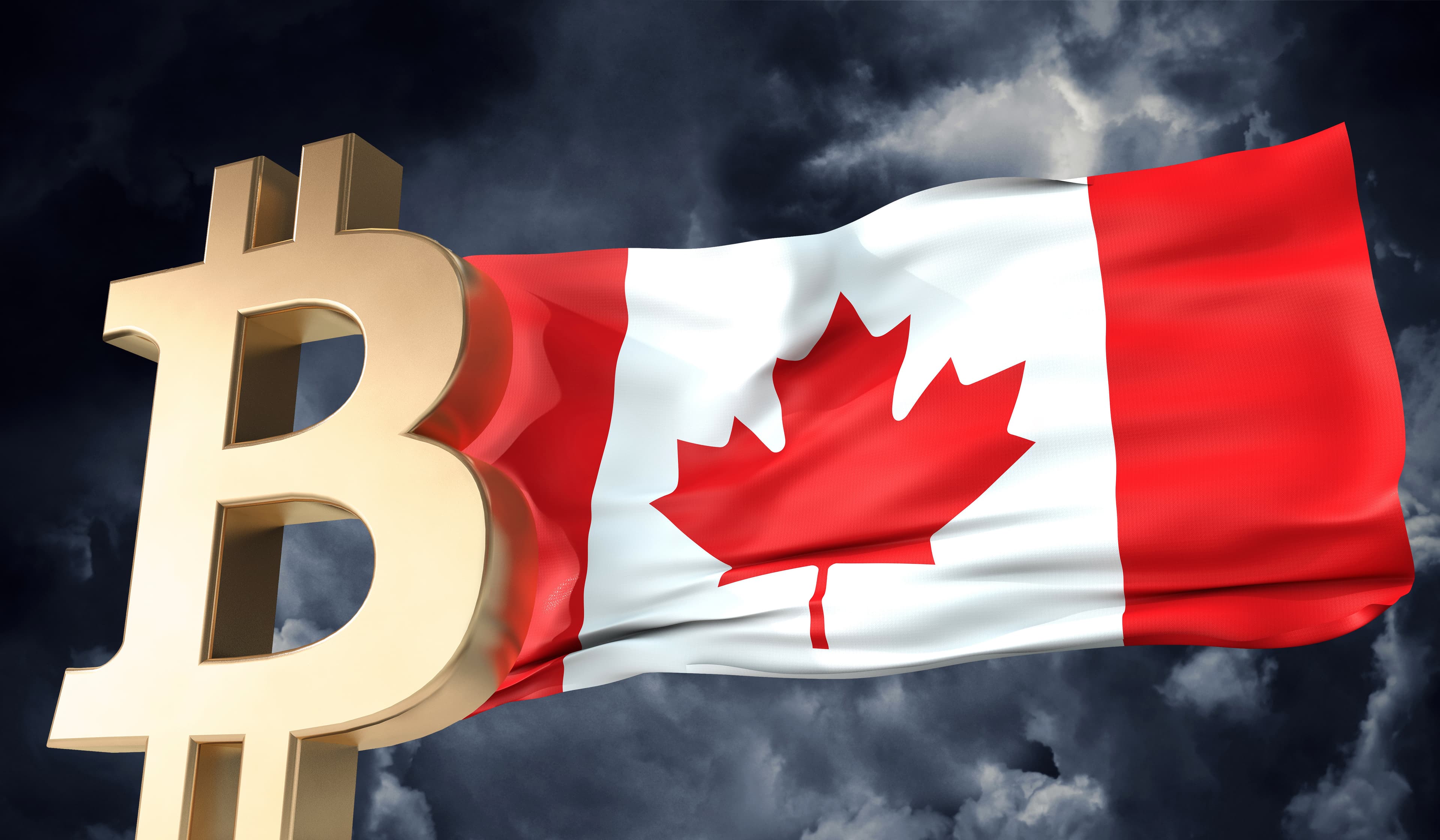 Bitcoin Fundraiser For Canadian Truckers Launches Following GoFundMe Suspension