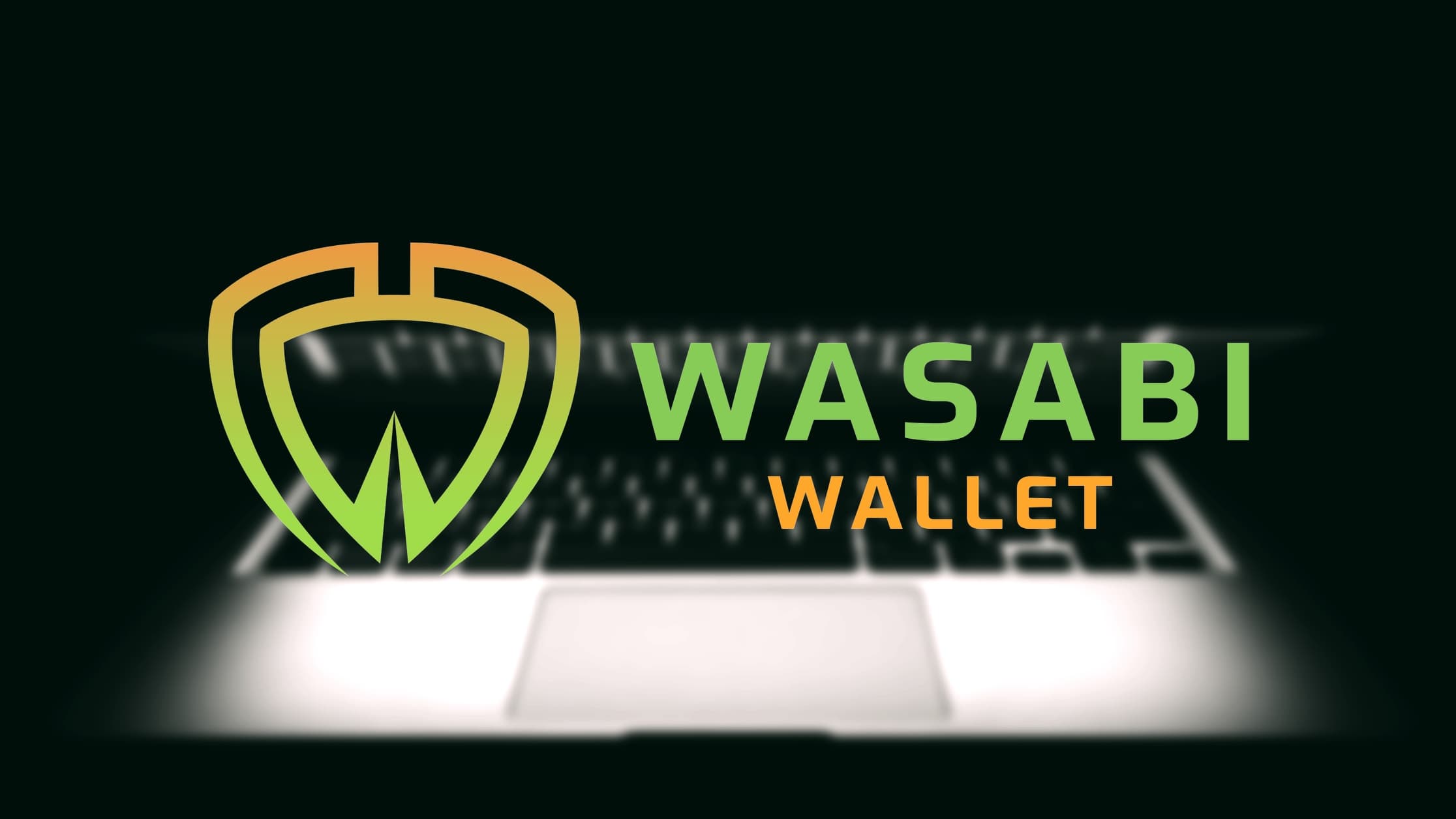 Wasabi Wallet Discloses DOS Vulnerability After Releasing Bug Fix