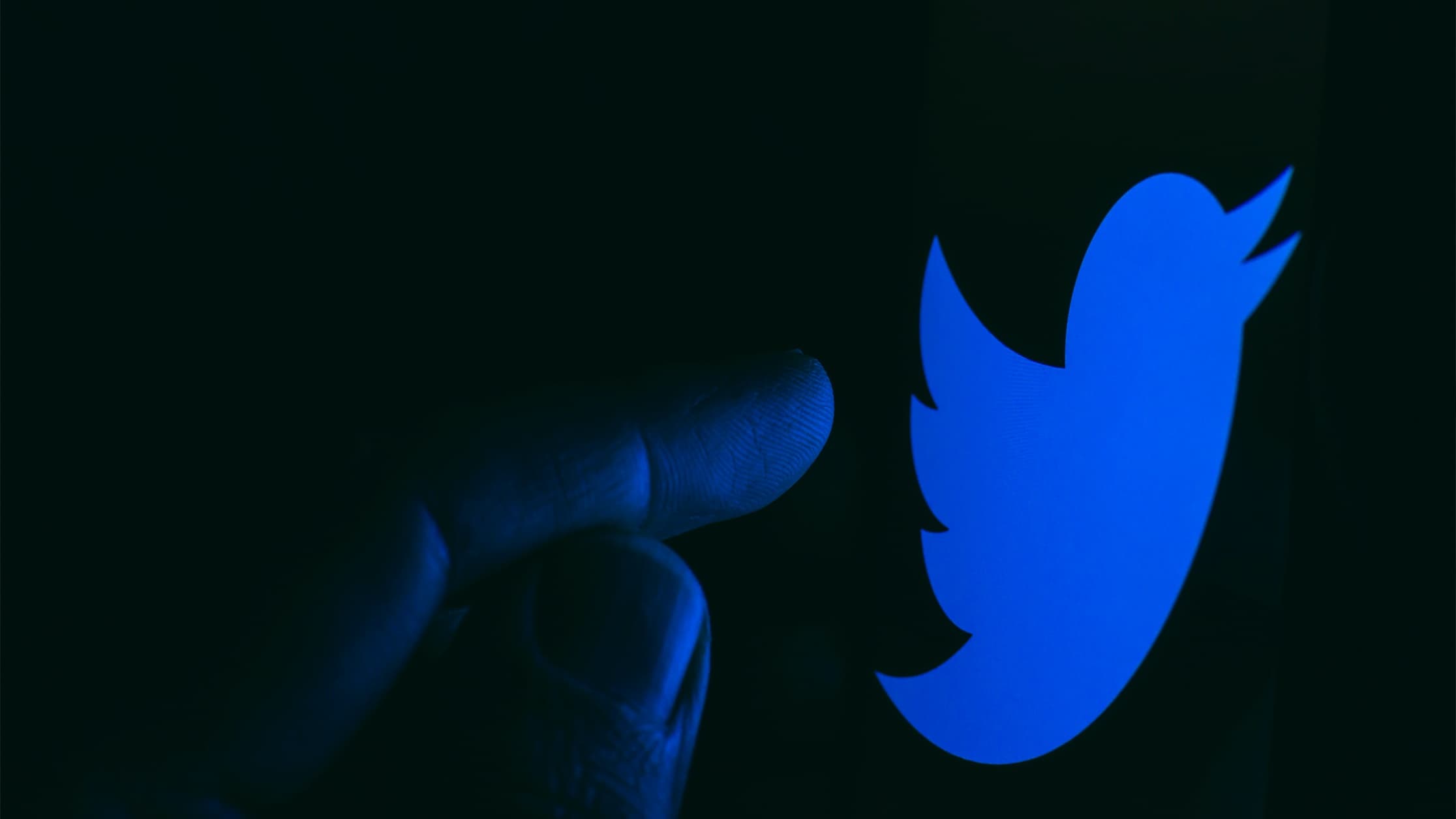 OpenNode Co-Founder: Tim Draper's Bitcoin Cash Tweet Was From a Hacker