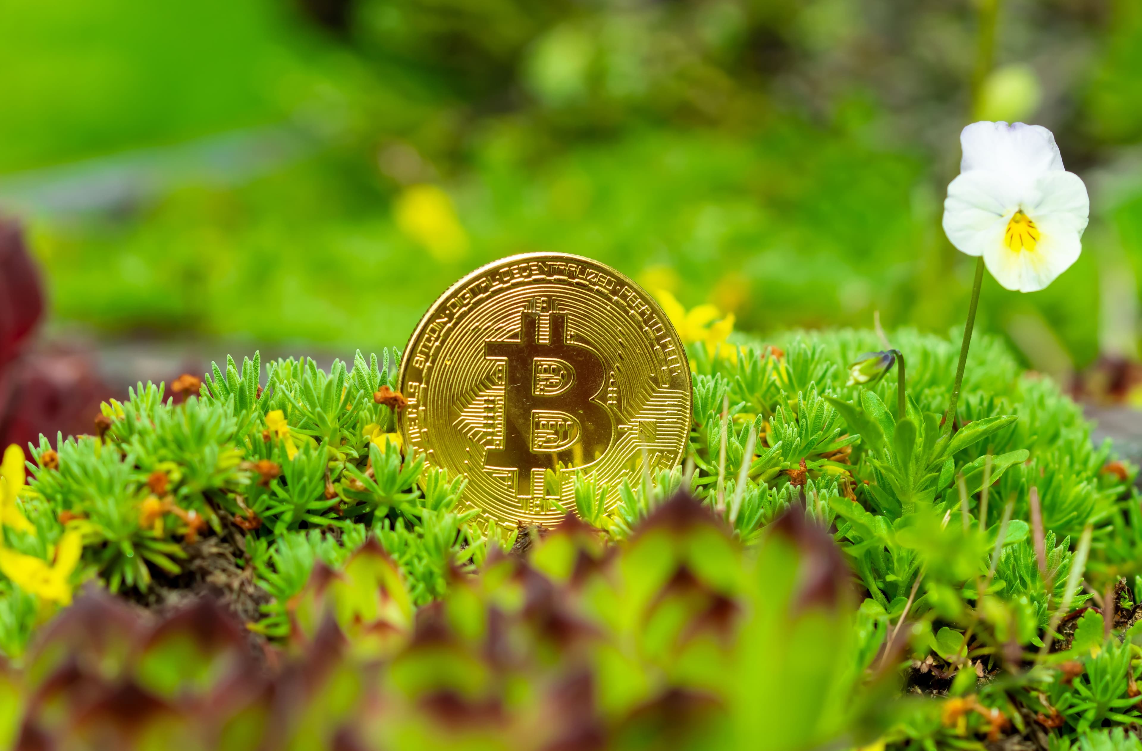 Bitcoin Mining Council Confirms Year-over-year Improvements in Sustainability