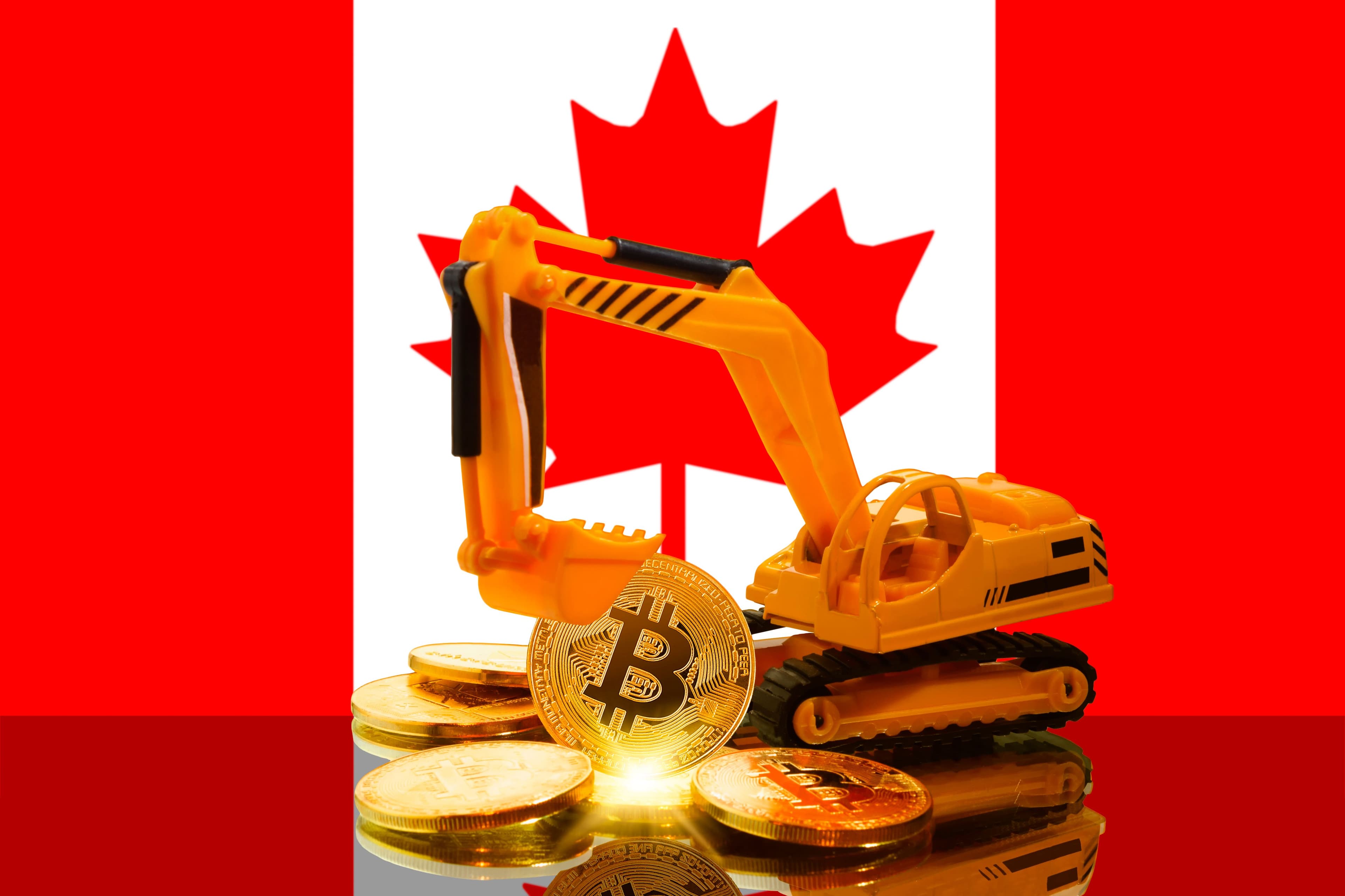 Tallycoin Fundraiser for the Freedom Convoy Voluntarily Shut Down