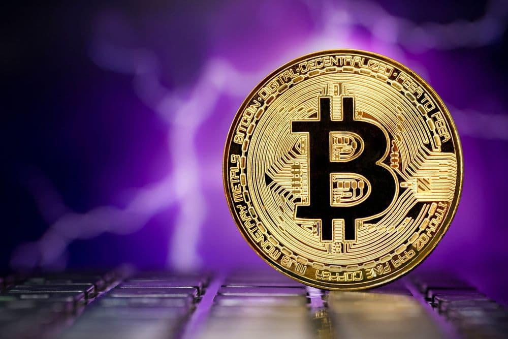 Bitcoin and Lightning Startup Accelerator Wolf Announces First Cohort