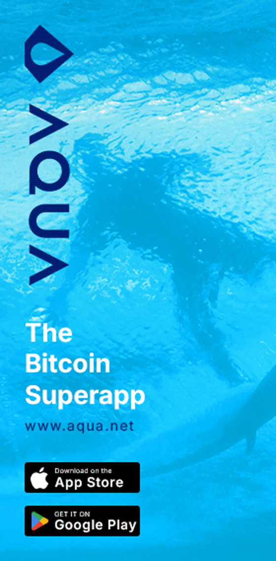 BTC Times advertisement placeholder
